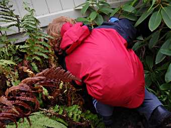 Hunting for the geocache